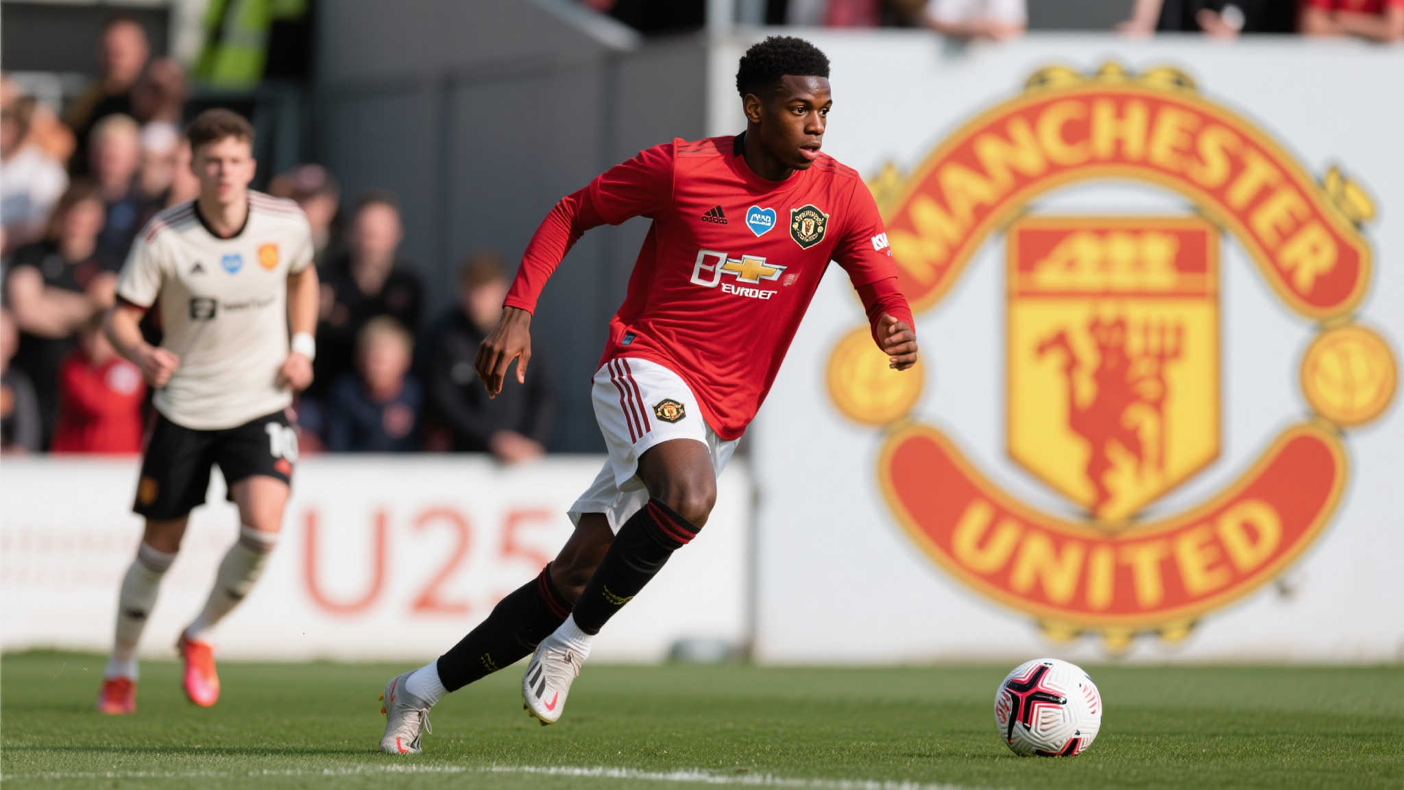 沃尔夫斯堡 沃尔夫斯堡