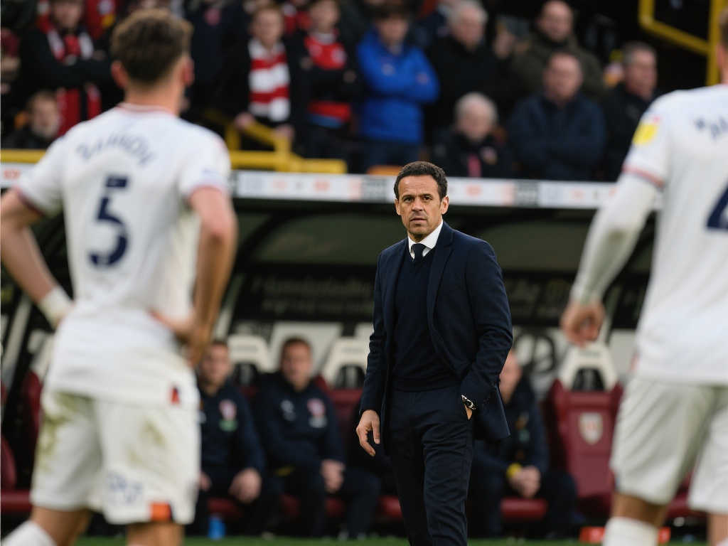 不仅能刺激 不仅能刺激