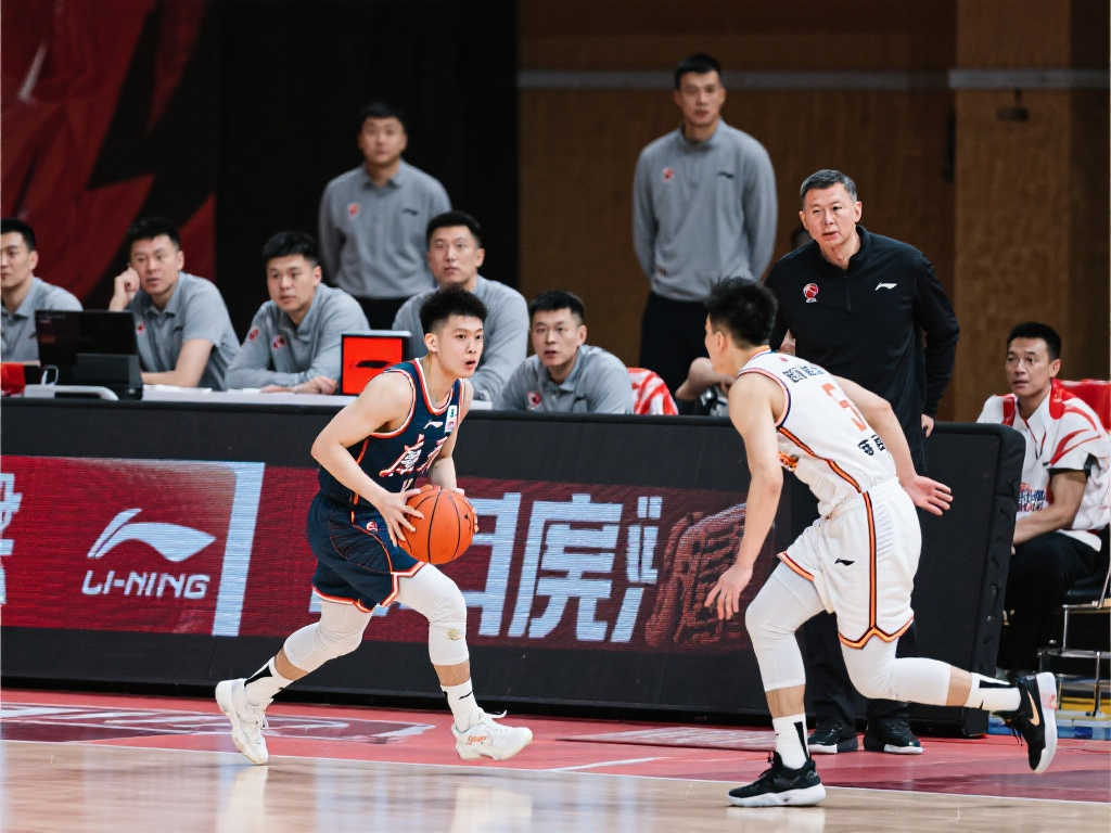 但仔细观察 但仔细观察